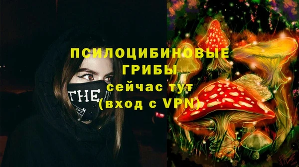 дурь Нягань