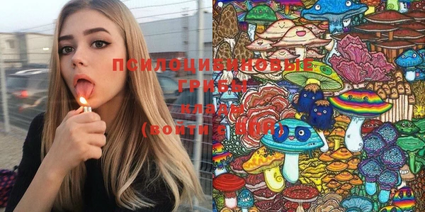 apvp Абдулино