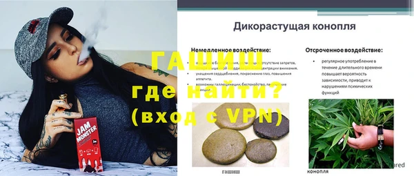 дурь Нягань